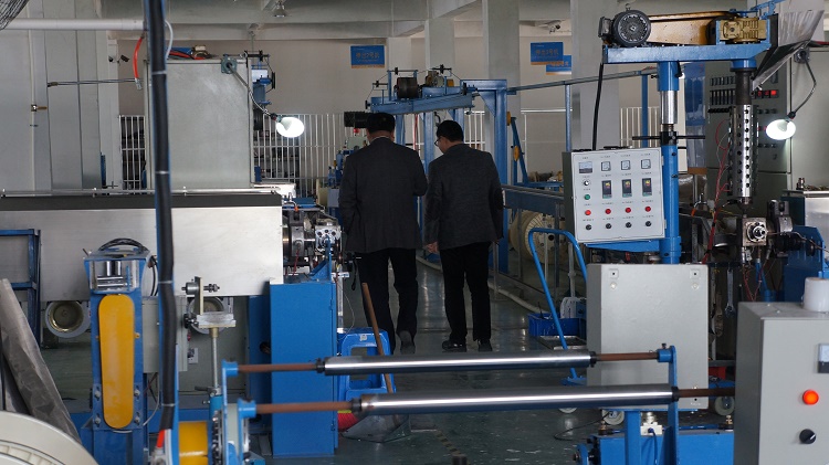 勝維股份 勝維股份